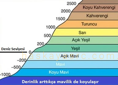 Haritalarda Renklendirme - Haskaya SRC Kursu