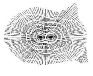 Haritalarda Tarama - Haskaya SRC Kursu